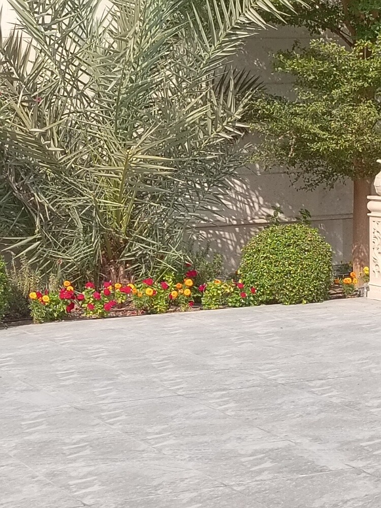 زراعه وديكور - 2