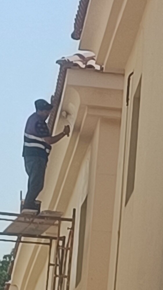 جميع اعمال الصبغ والجبس - 2