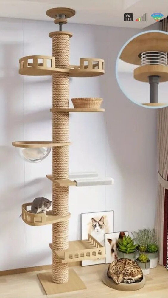 cat climbing tower tree scratcher - 1