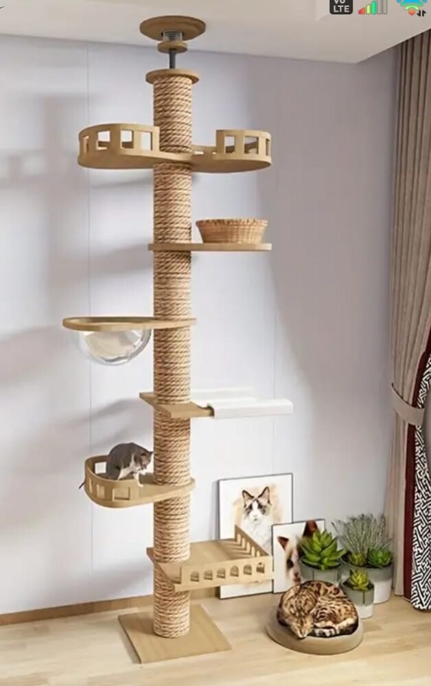 cat climbing tower tree scratcher - 7