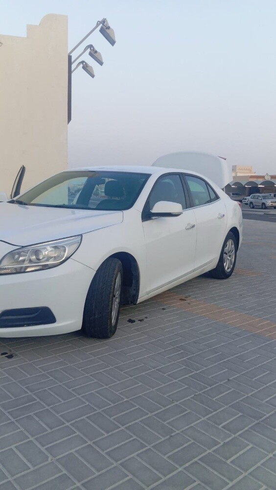 للبيع - 3