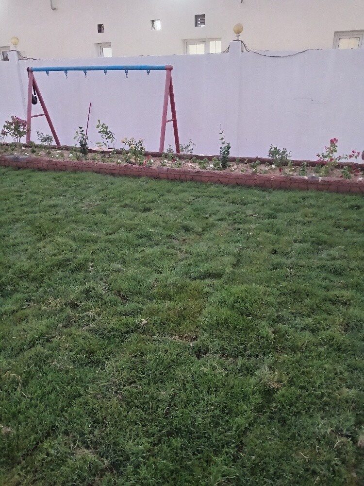 زراعه وديكور - 2