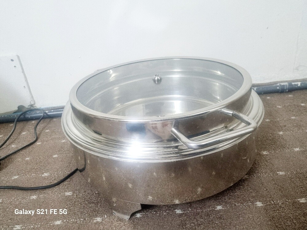 Electronic steamer - 1