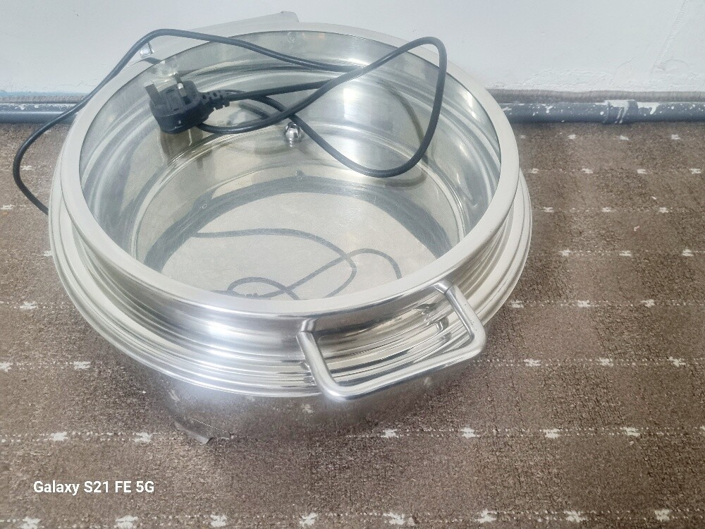 Electronic steamer - 2