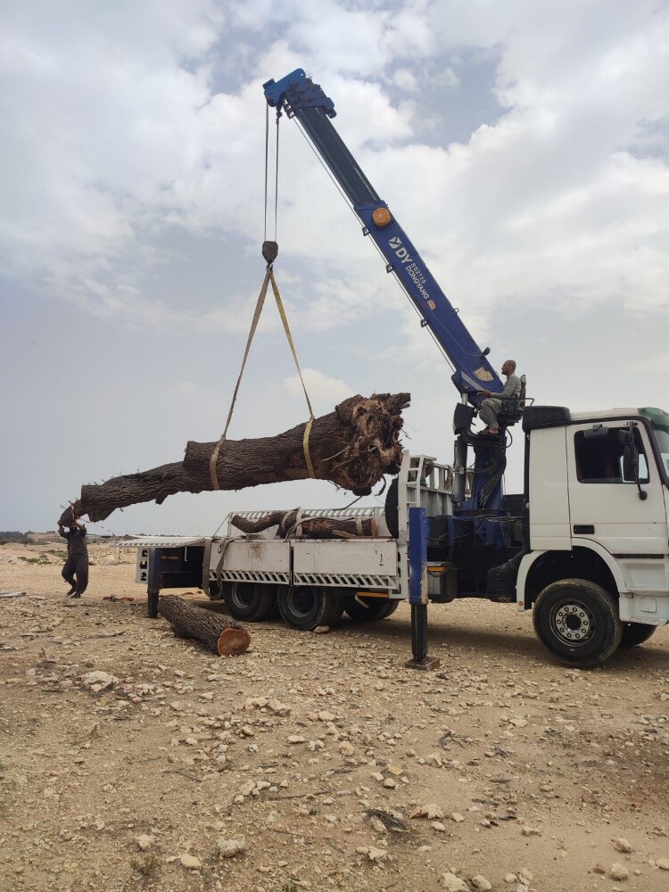 للايجار كريم عشره طن - 1