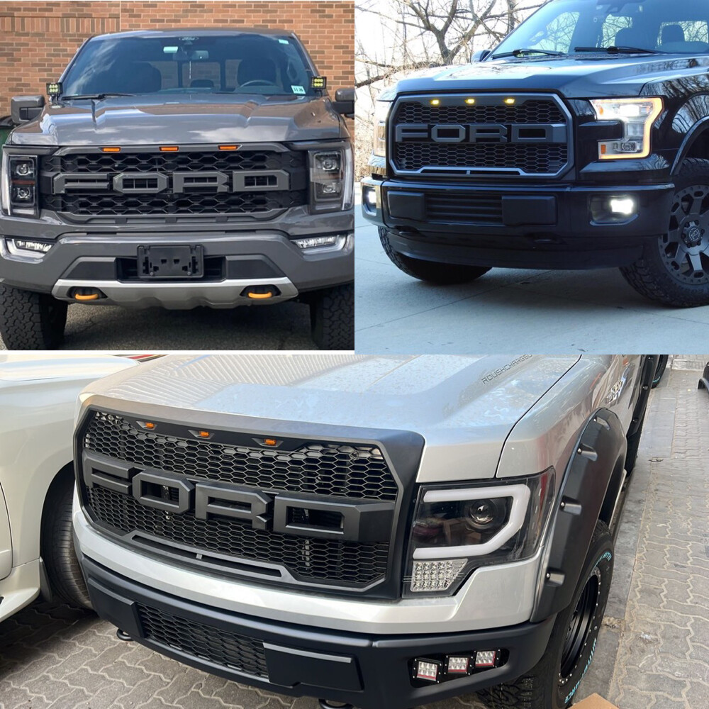 f150 grill raptor style - 1