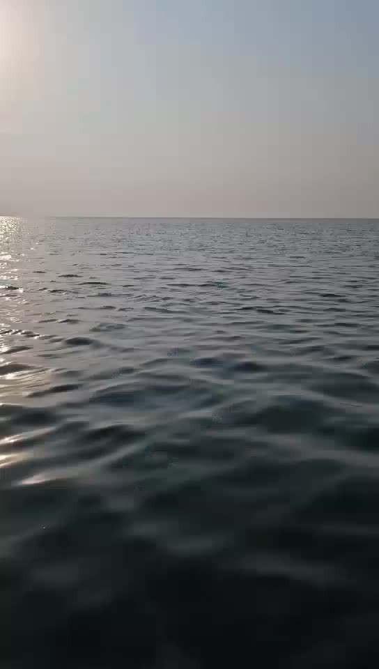 زودياك - 5