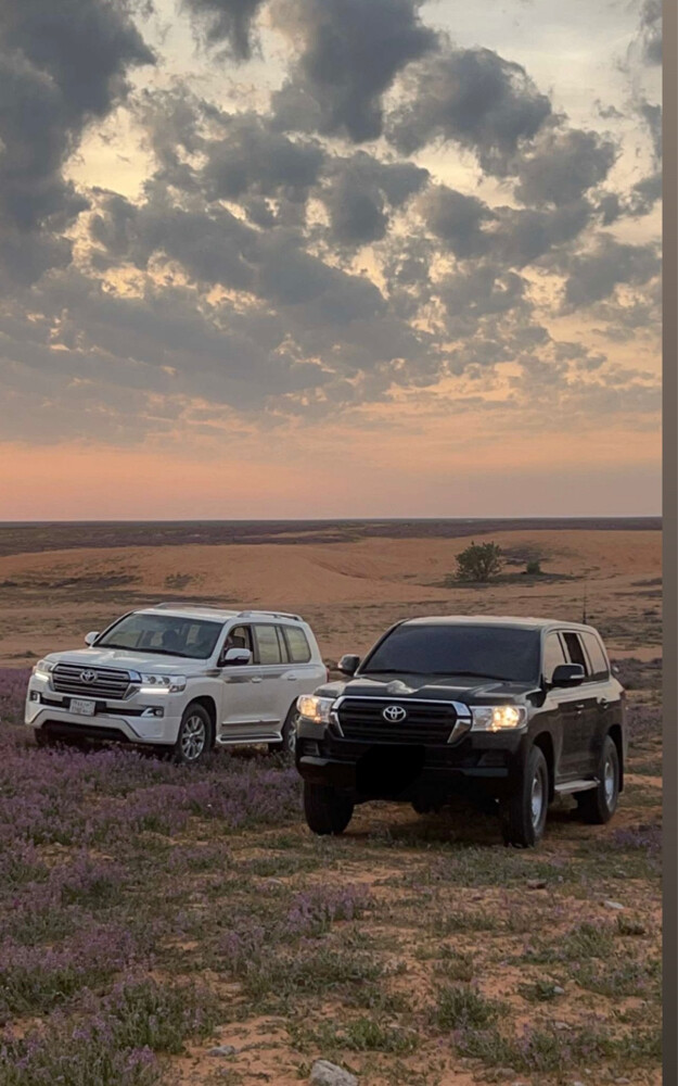 ستاندر للبدل - 2
