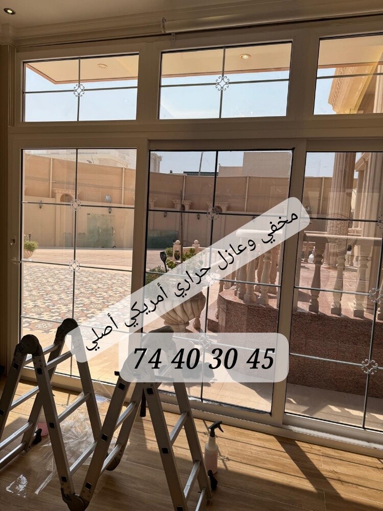 مخفي وعازل حراري اكس أمريكي - 2
