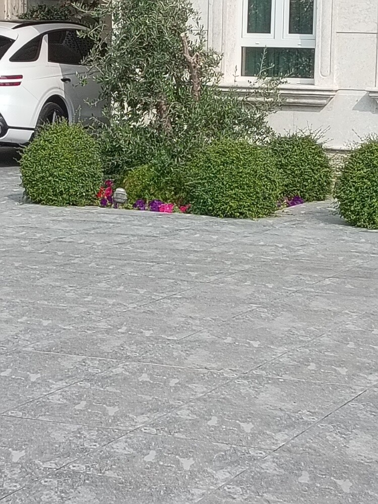 زراعه وديكور - 1