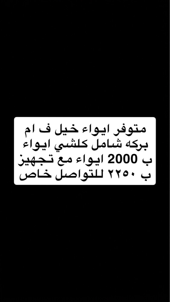 ايواء خيل - 1