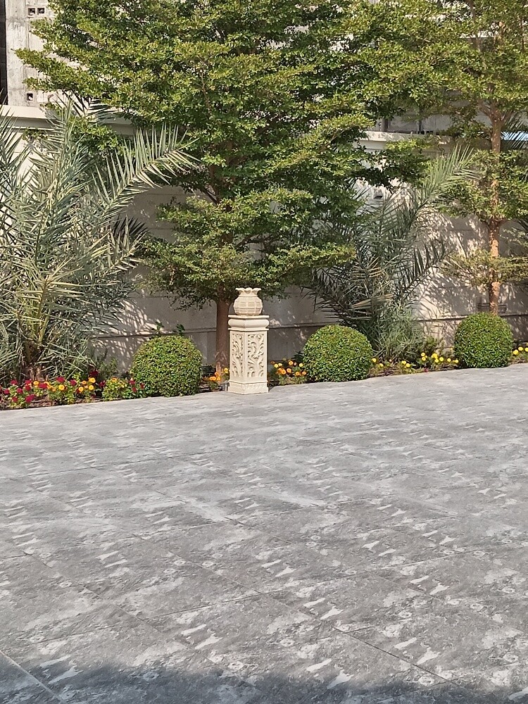 زراعه وديكور - 3