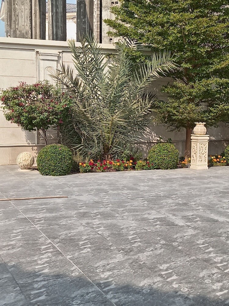 زراعه وديكور - 1