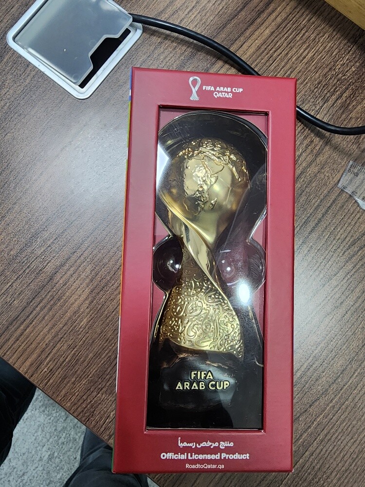 fifa worldcup 2022 - 10