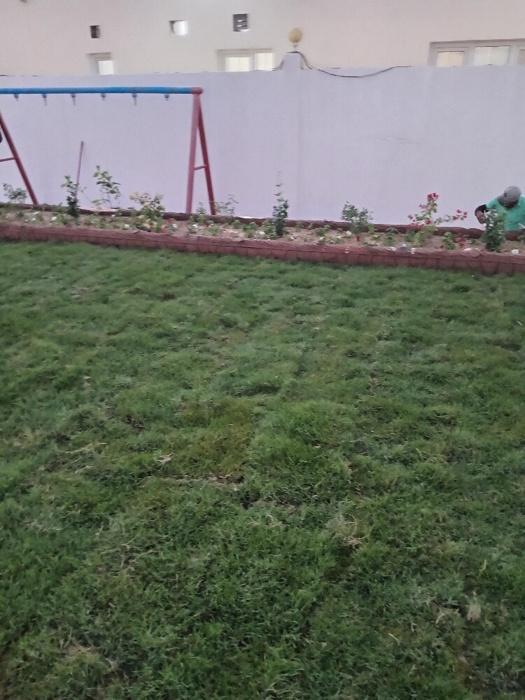 زراعه وديكور - 2