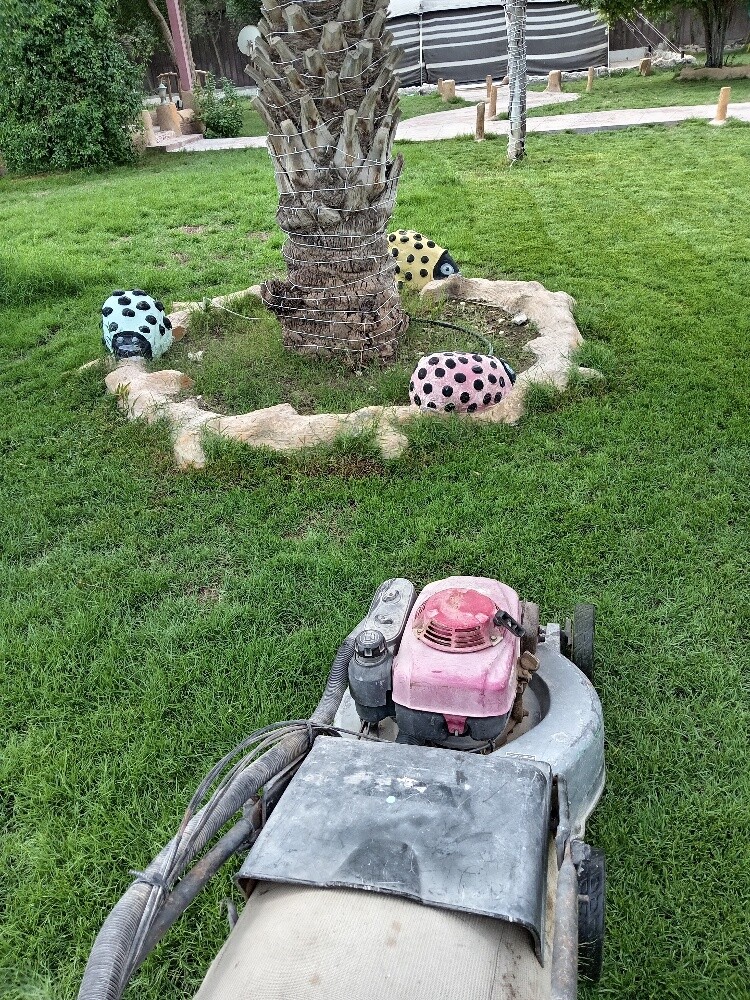 منسق حدايق - 1