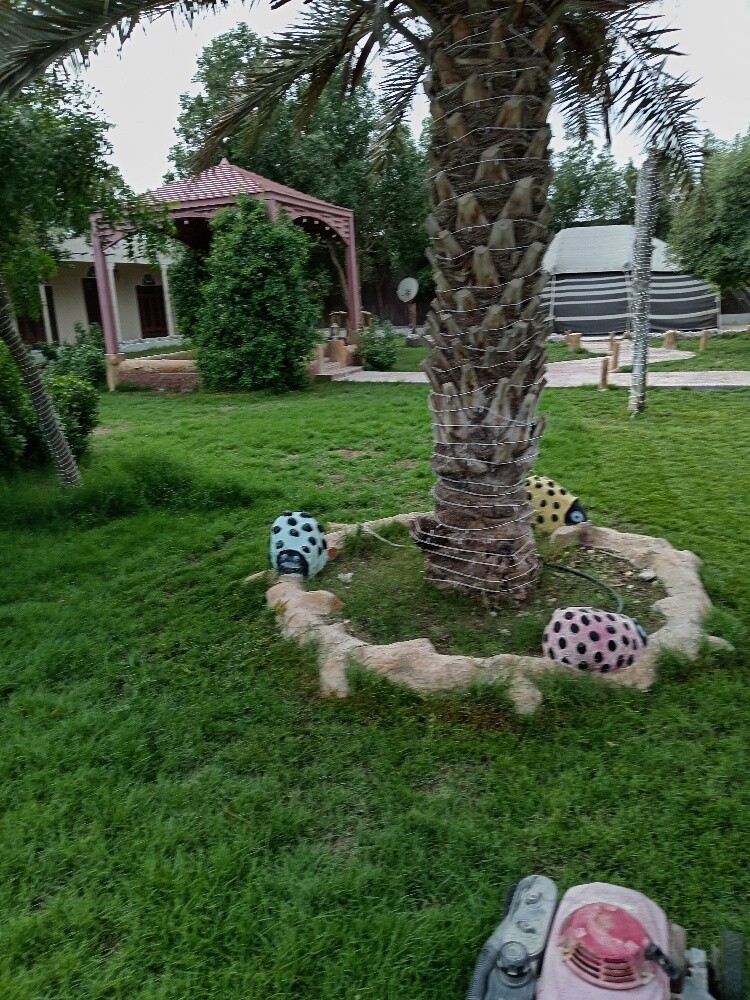زراعه وديكور - 2