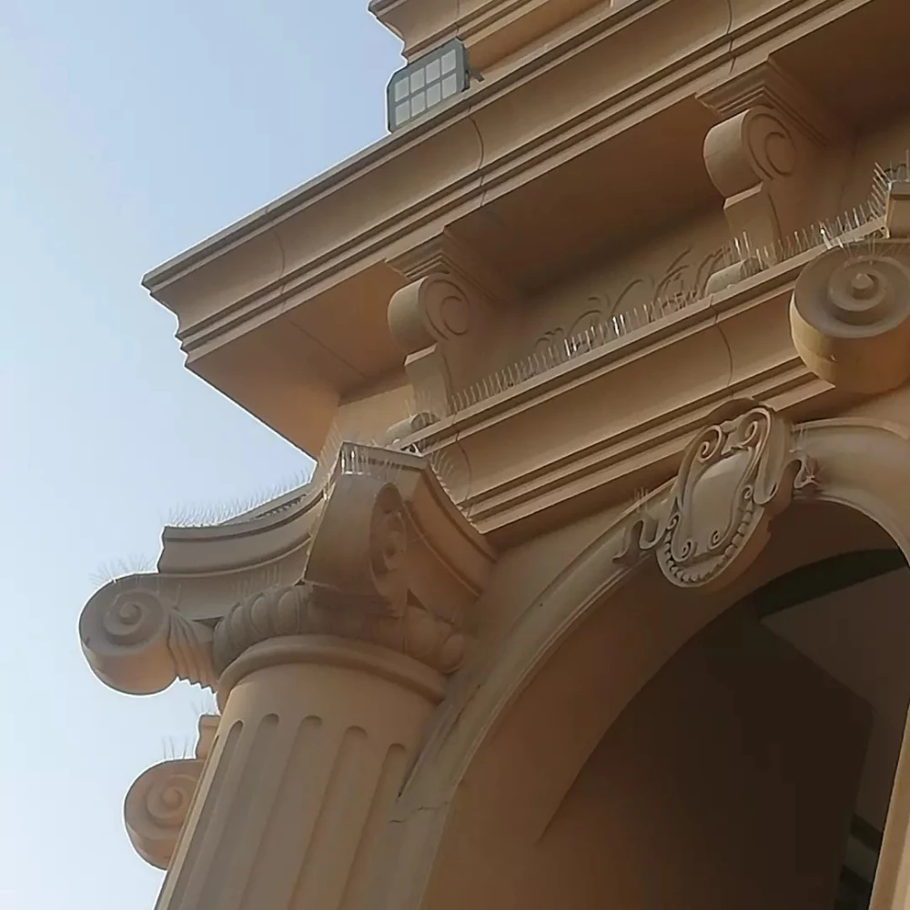 طارد الحمام - 30