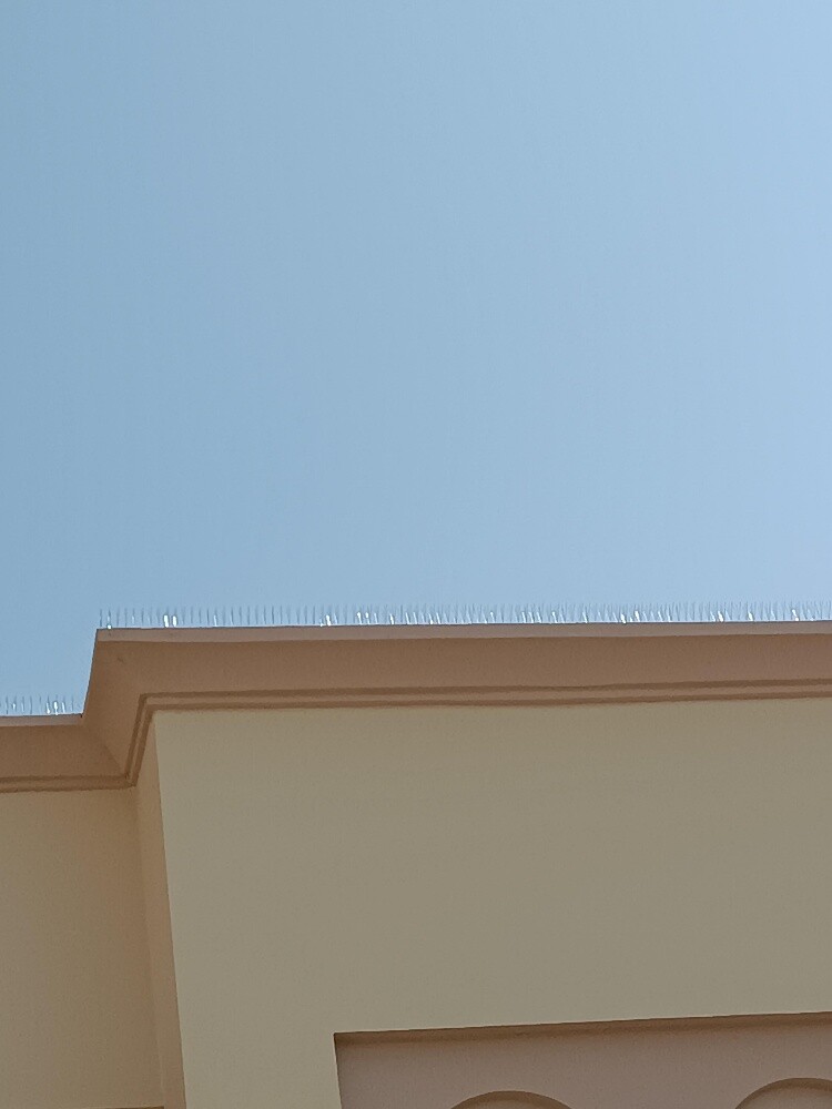 طارد الحمام - 5