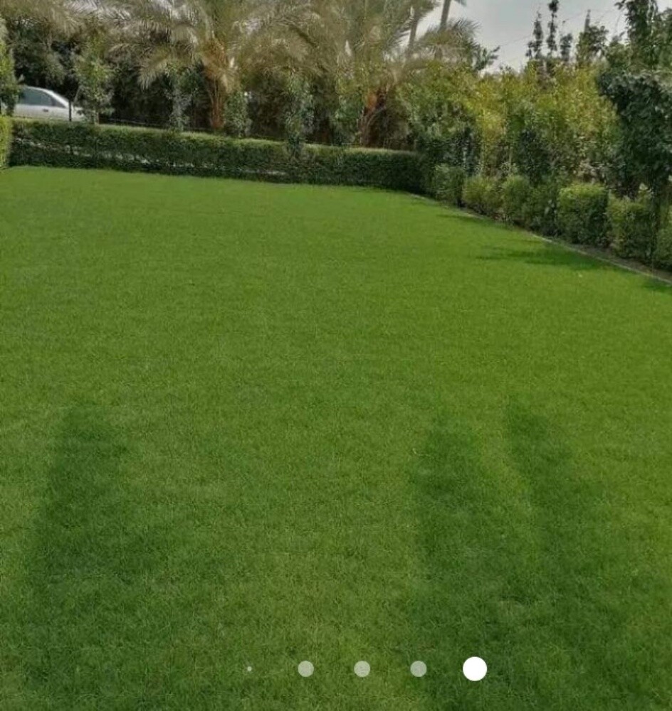 طين زراعي مخلوط - 8