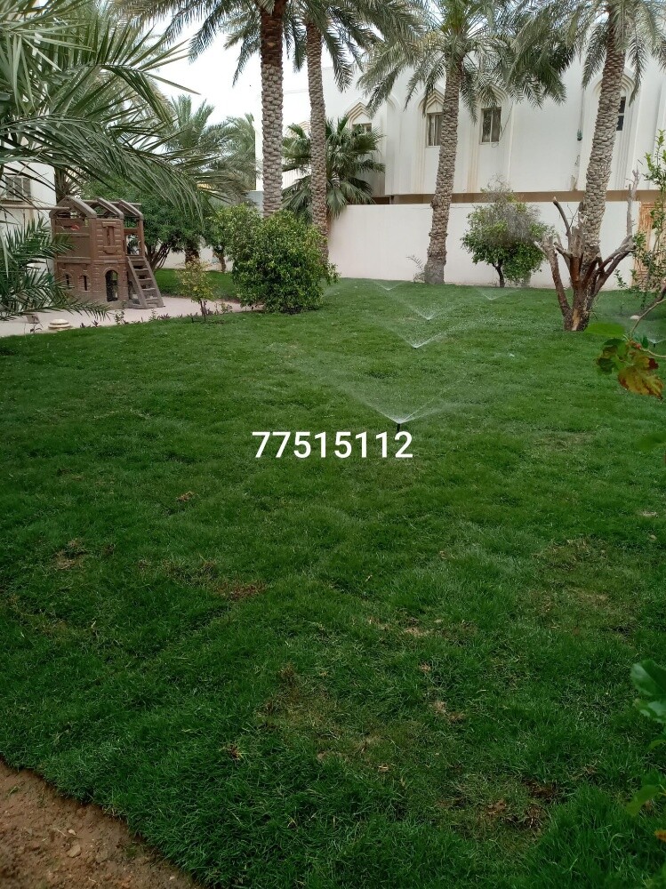 العشب الأخضر - 1