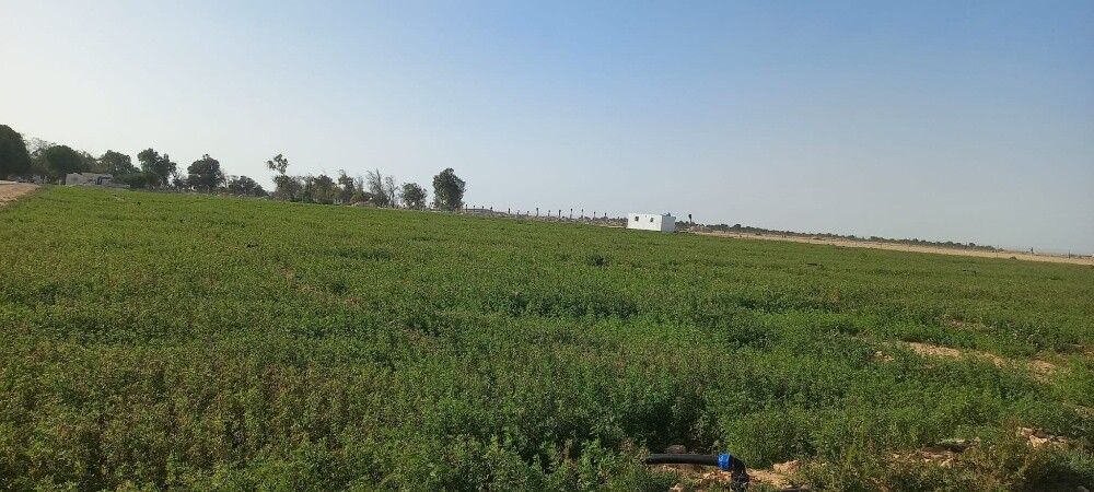 الجيت - 2