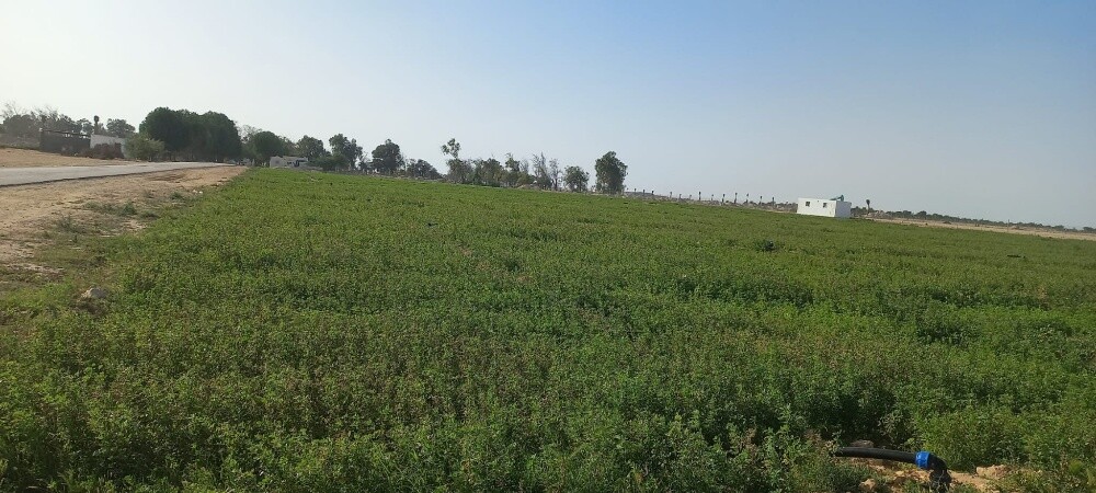 الجيت - 1