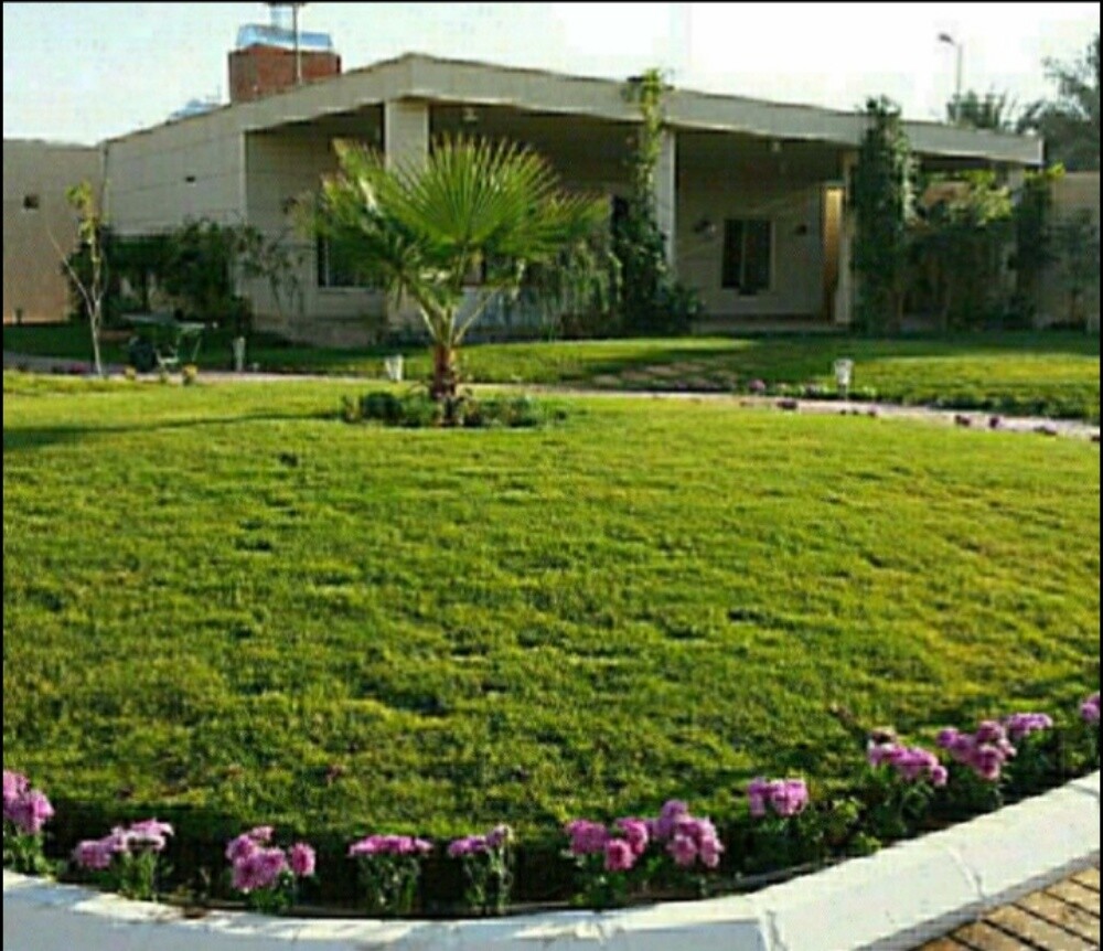 زراعة وديكور - 7