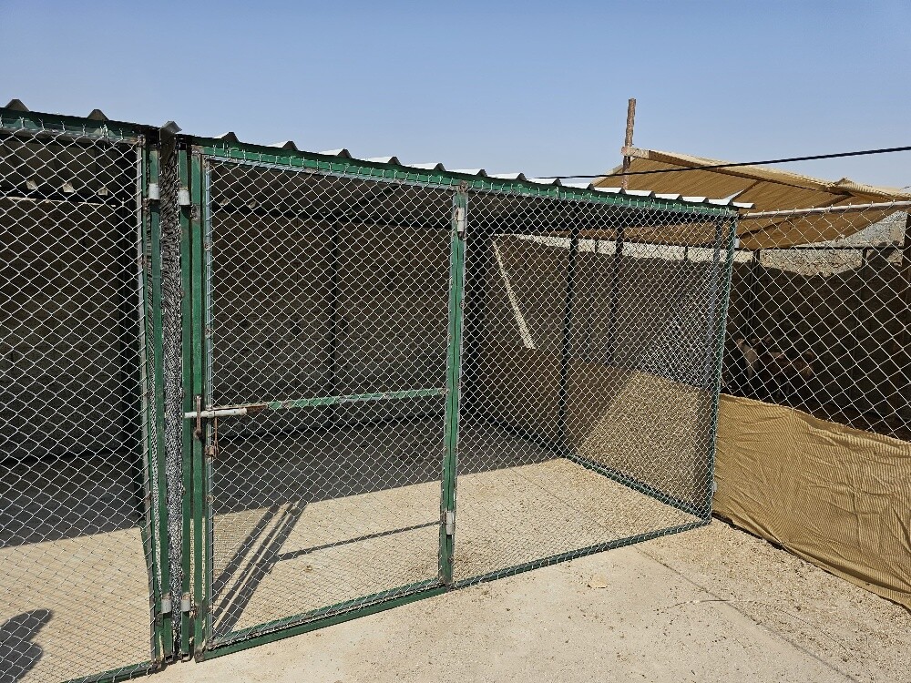 Pigeon house - 3