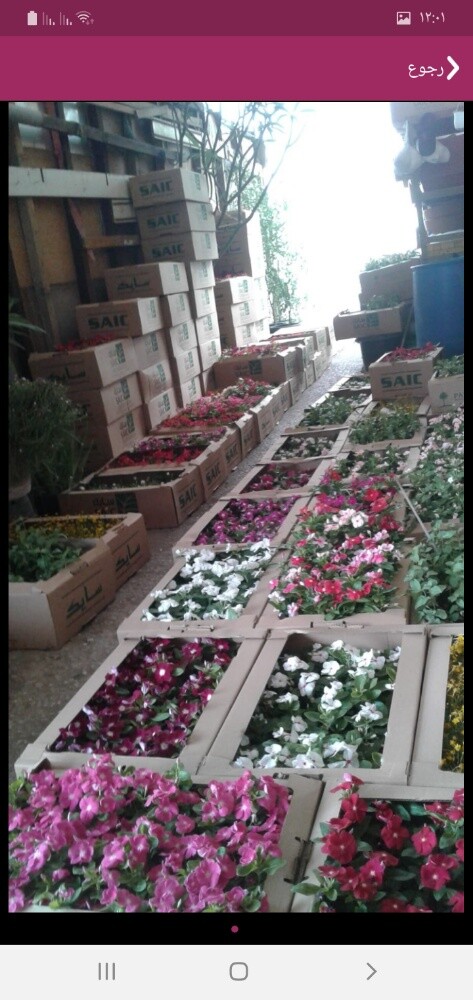 مزارع ومنسق حدايق - 5