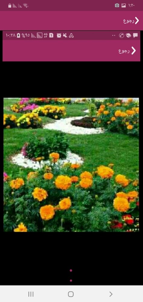 منسق حدائق - 6