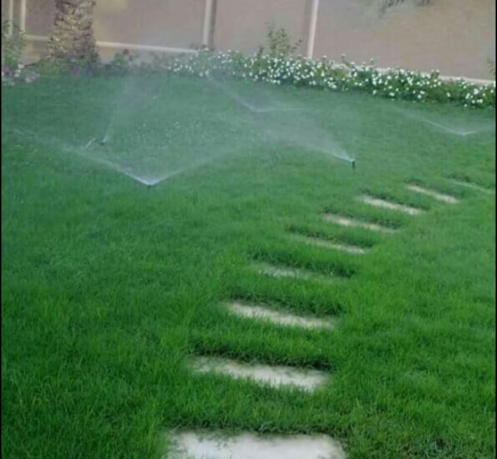 منسق حدائق - 1