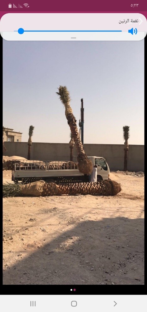 منسق حدائق - 7