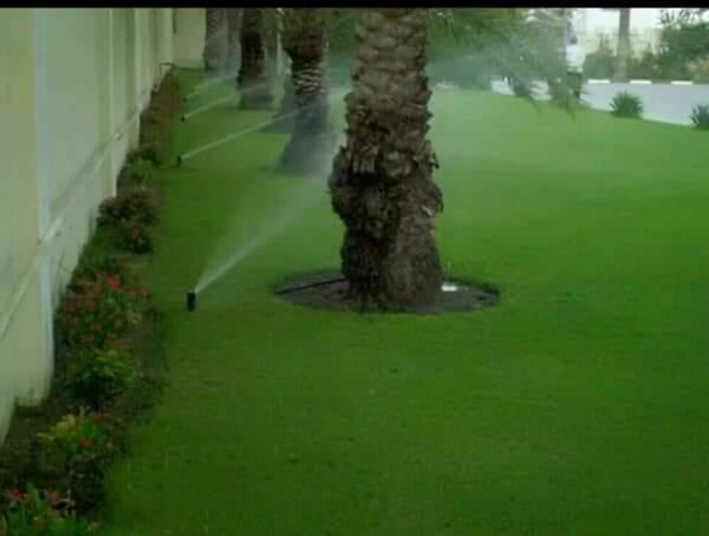 منسق حدائق - 3