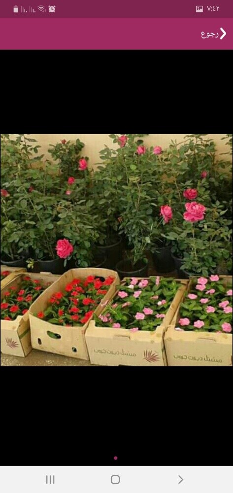 منسق حدائق - 4