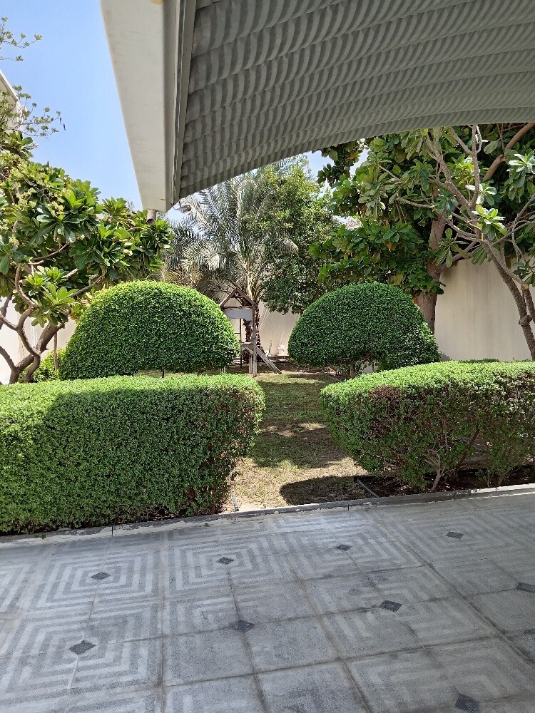 عمل زراعه - 3