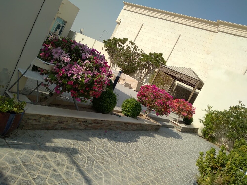 زراعه وديكور - 3