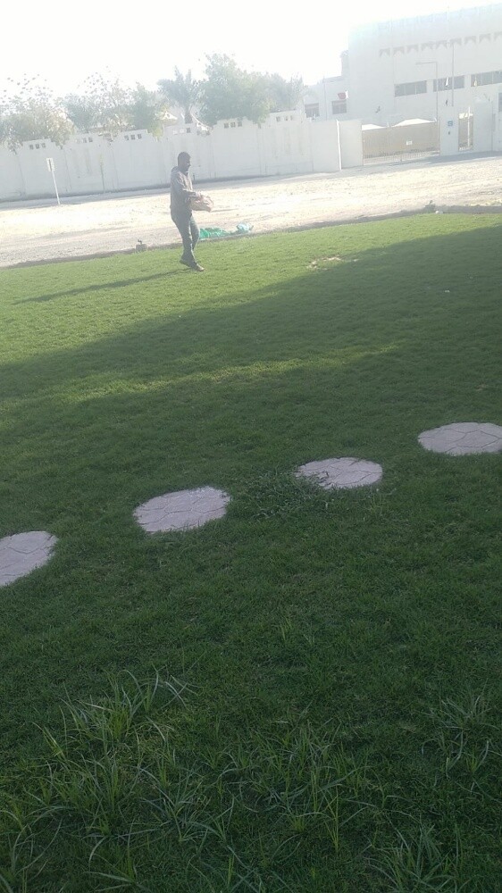 زراعه وديكور - 1