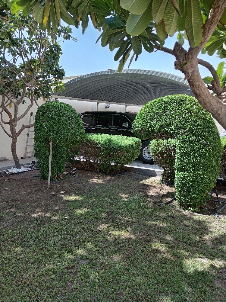 زراعه وديكور - 2