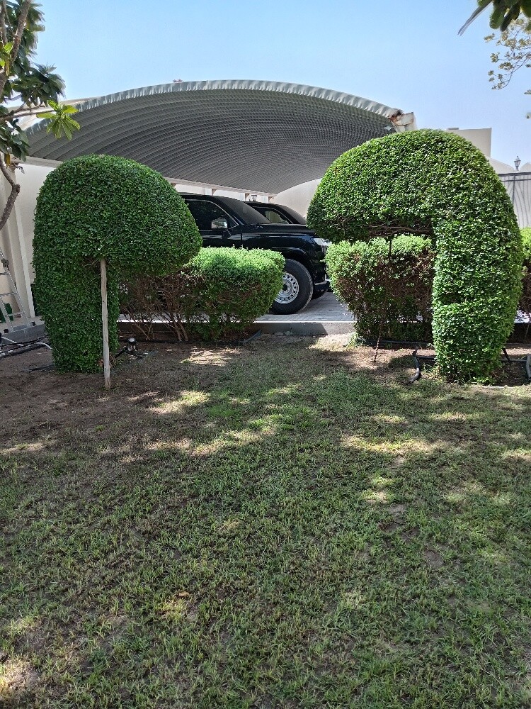 زراعه وديكور - 3
