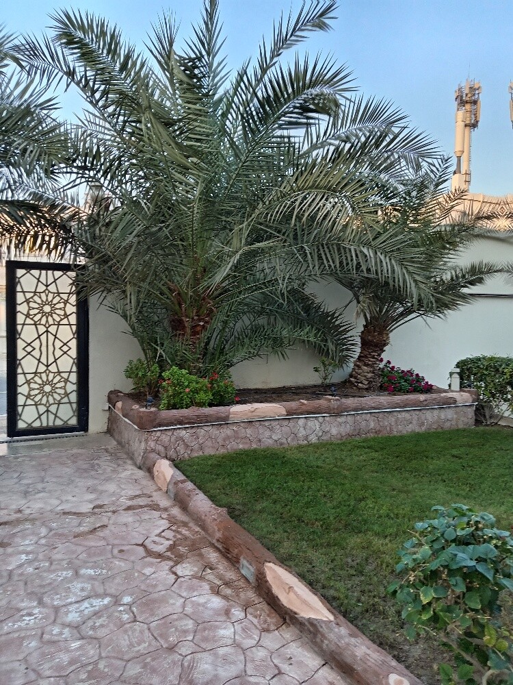 زراعه وديكور - 3