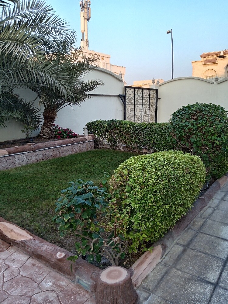 زراعه وديكور - 2