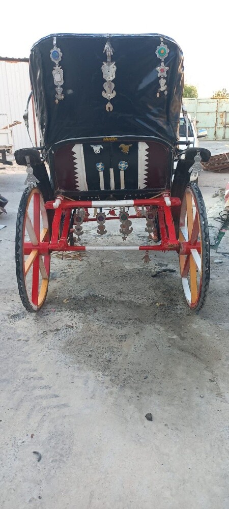 للبيع حنطور مستعمل مع الأغراض - 1
