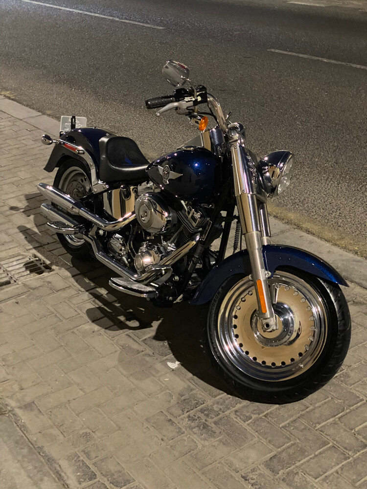 Harley Davidson Fatboy - 4
