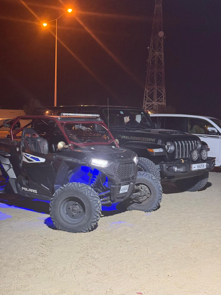 Polaris RZR 1000 - 2