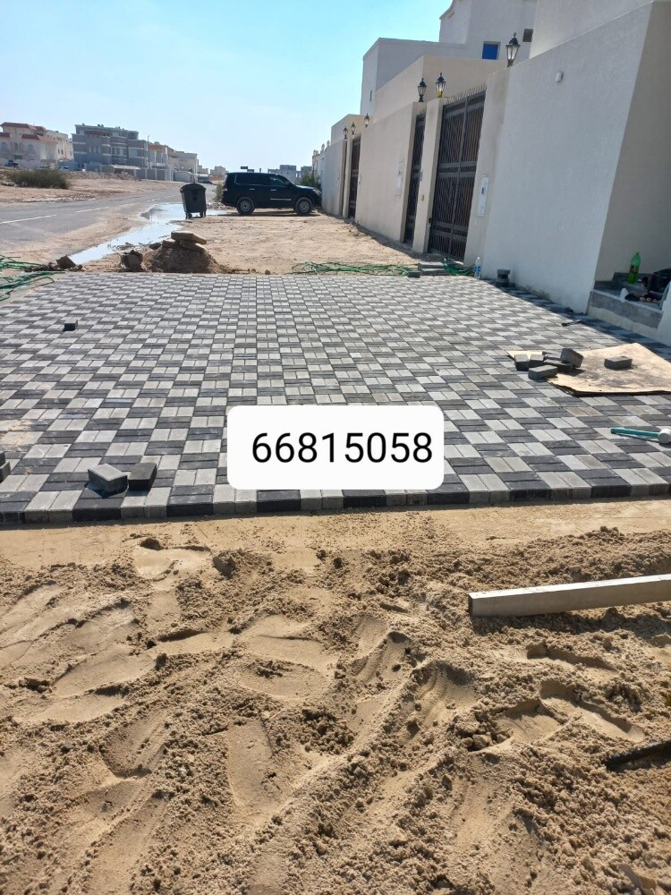 نخيل - 10