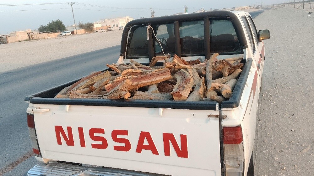 سمر افريقي - 2