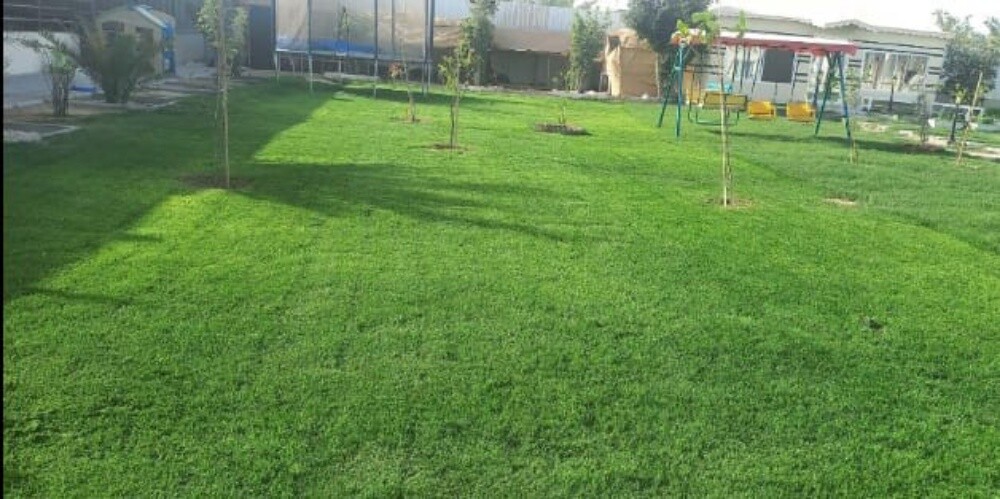 زراعه وتنسيق العشب - 3