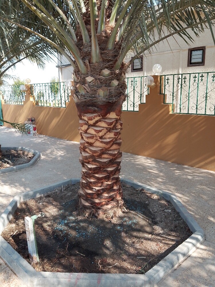 مصمم حدايق جميله 55079950 - 5