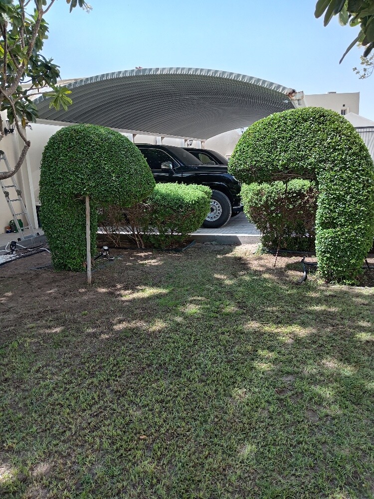 زراعه وديكور - 2